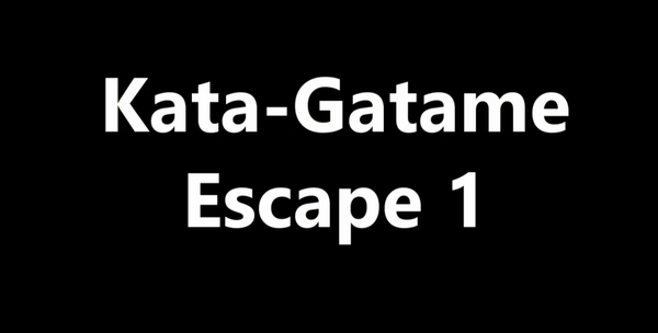 Kata-Gatame Escape 1