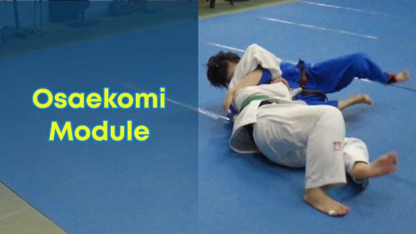 Osaekomi